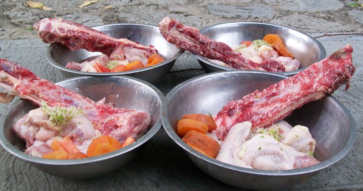 En qué Consiste la Dieta BARF para Perros