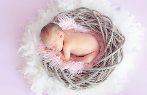 bebe dentro de cesta