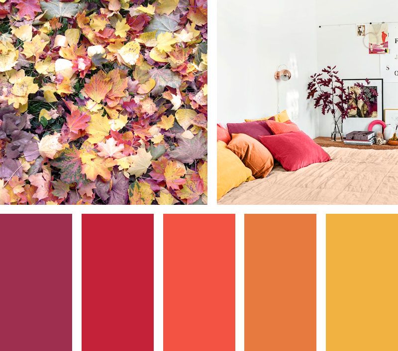 Qué son los colores análogos y ejemplos