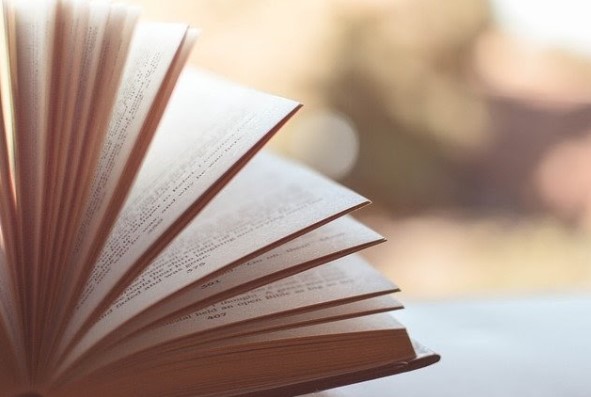 libro abierto