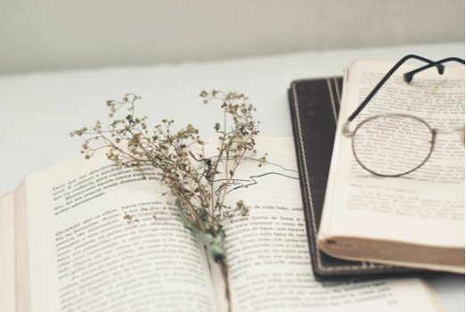 libro con romero