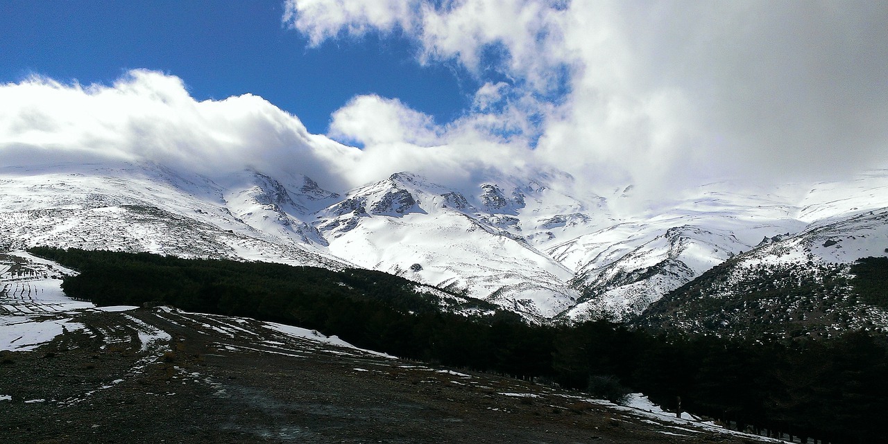 sierra nevada