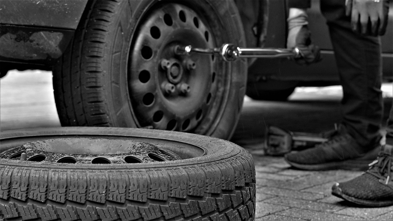 neumáticos coche