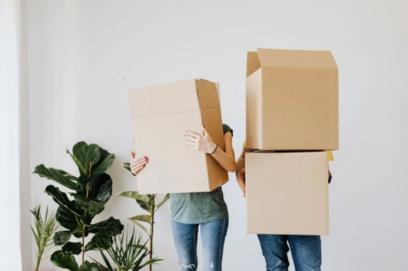 cajas de carton