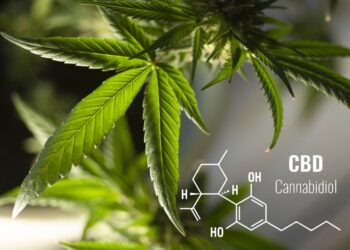 ¿Pueden relajarse los deportistas con aceite de CBD?