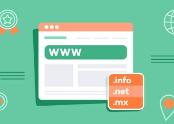 dominio web