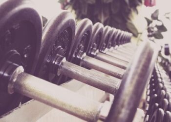 ¿Qué tipos de disciplinas puedes practicar en un gimnasio?
