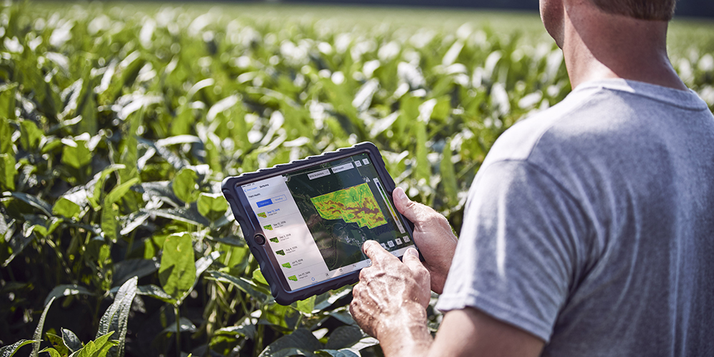 Climate FieldView: