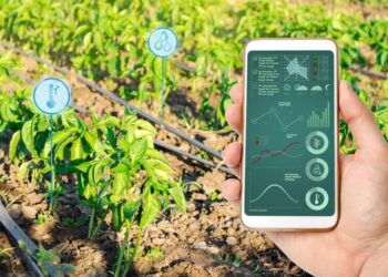 Cómo los sistemas de riego inteligentes están revolucionando la agricultura