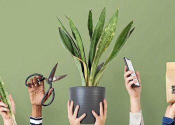 Cómo combinar la jardinería y la tecnología para lograr un oasis moderno