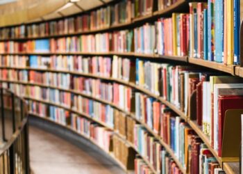 El impacto de las nuevas bibliotecas en el mundo digital