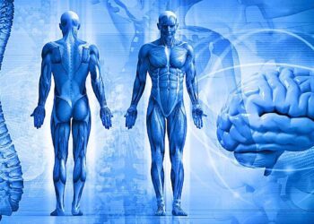 Curiosidades de la salud y el cuerpo