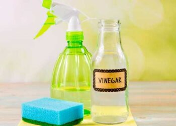 El vinagre como desinfectante del hogar