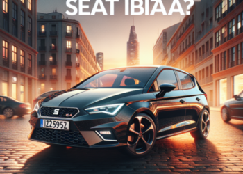 ¿Cuál es el SEAT Ibiza 6l?