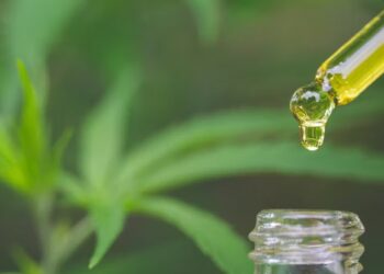 productos cbd actualidad