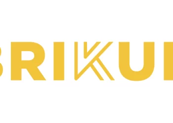 Innovación y eficiencia: Herramientas Brikum para profesionales