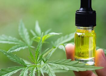 HHC: Otro cannabinoide que está dando de qué hablar