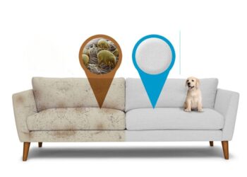 La limpieza a domicilio de tus muebles: ¡Manténlos siempre como nuevos!