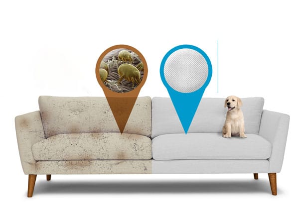 La limpieza a domicilio de tus muebles: ¡Manténlos siempre como nuevos!