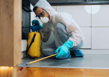 Guía completa sobre insecticidas: Tipos, efectos y formulaciones para el control de plagas