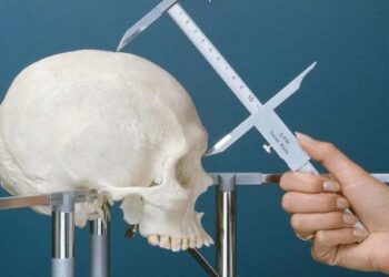 De la escena al laboratorio: cómo cuidar cada evidencia en la investigación forense